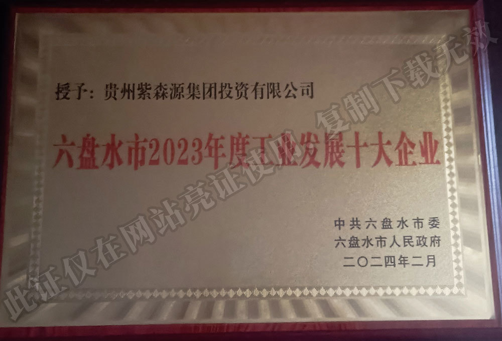 Top 10 Industrial Development Enterprises in Liupanshui City in 2023
