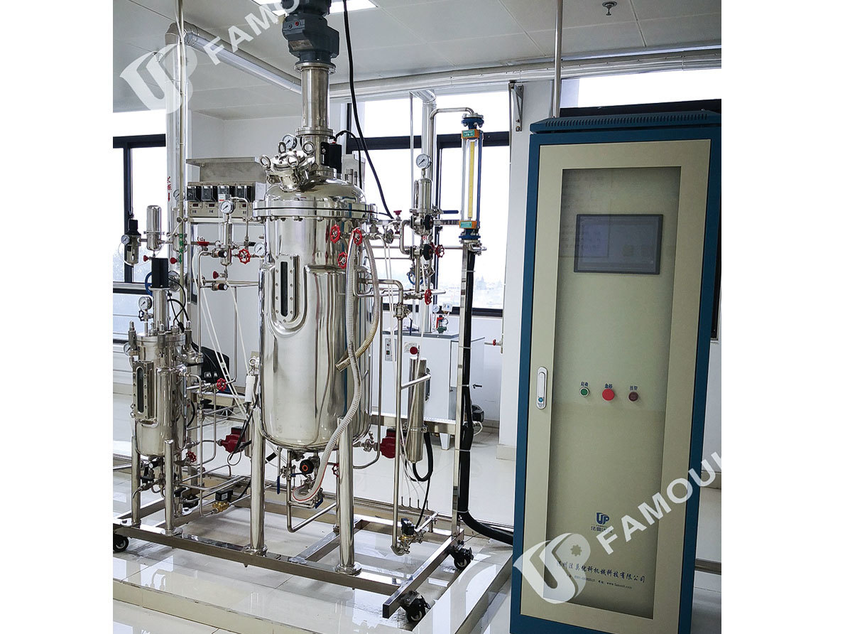 Stainless steel fermentation system