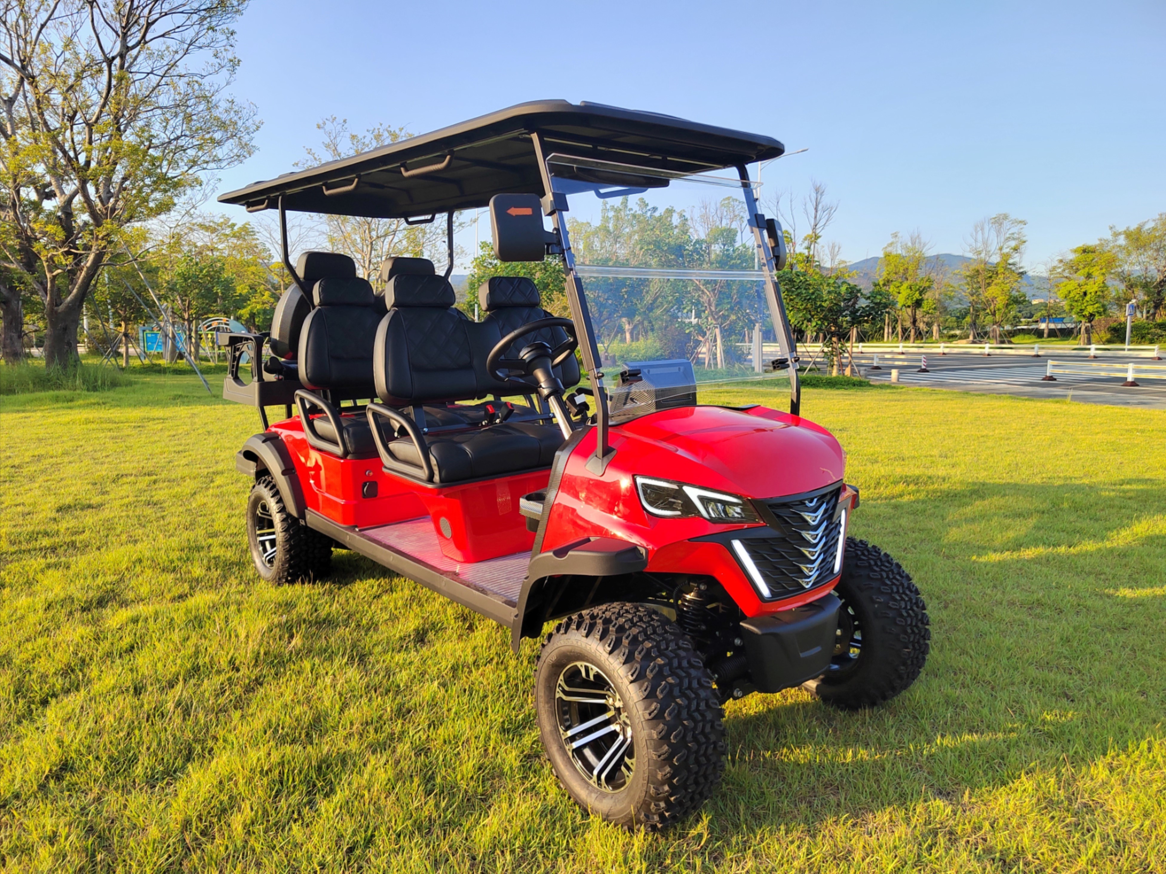 4+2 Golf Cart Fierce RG-GRF1206