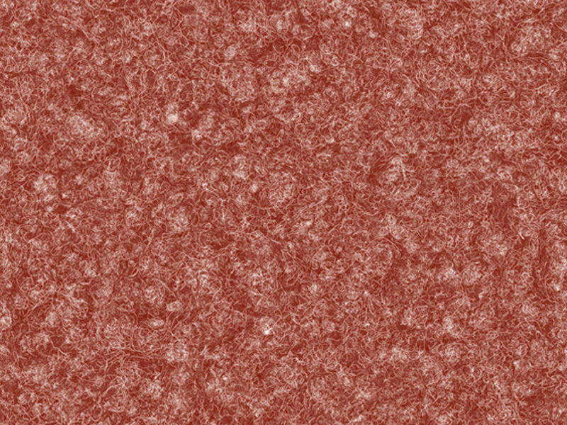 BAS206-716