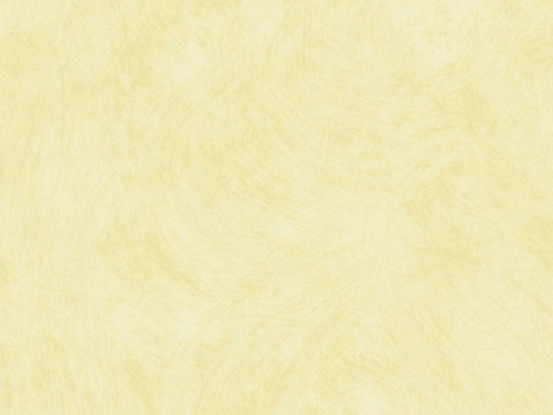 BDS206-032