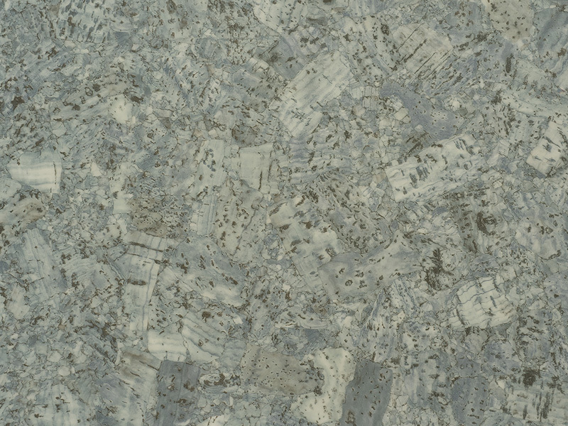 BCS226-3019