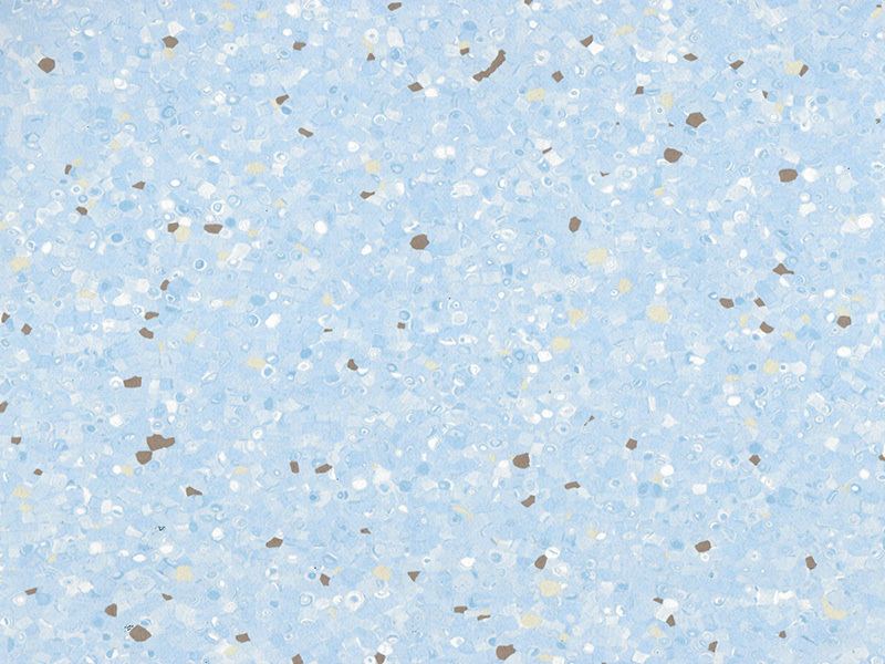 BXY5313