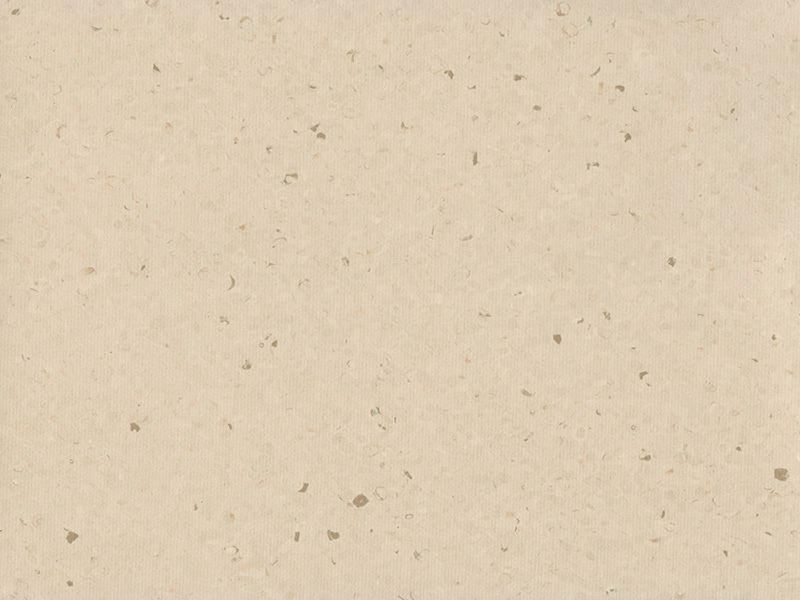 BXY5264