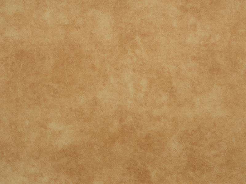 BCS206-9010