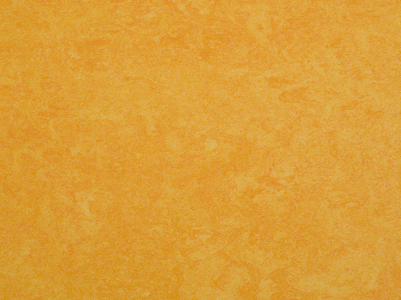 BSP226-1355
