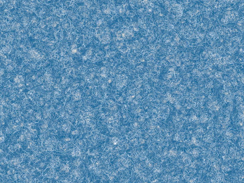 BAS206-765