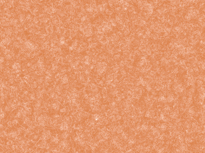 BAS206-710