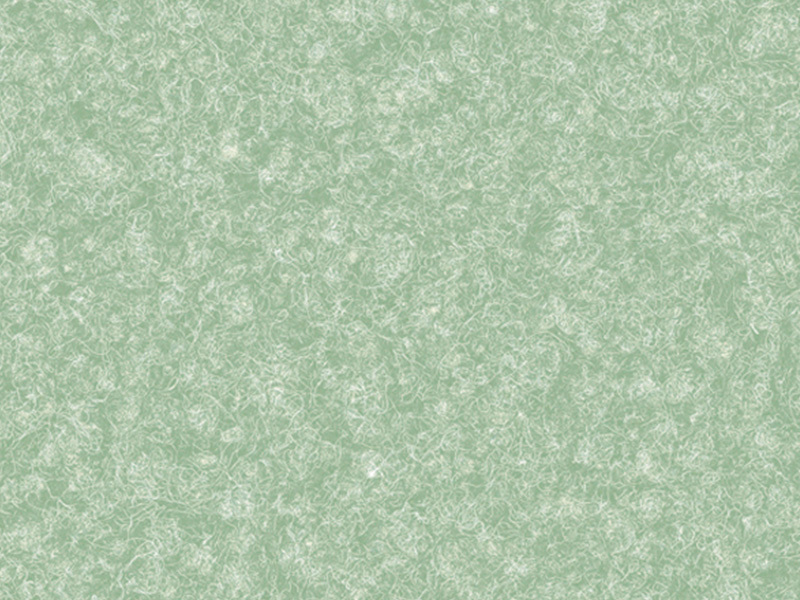BAS206-740