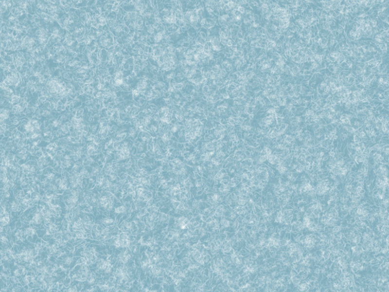 BAS206-760