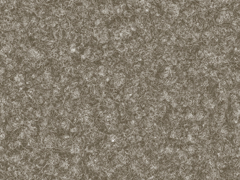 BAS206-719