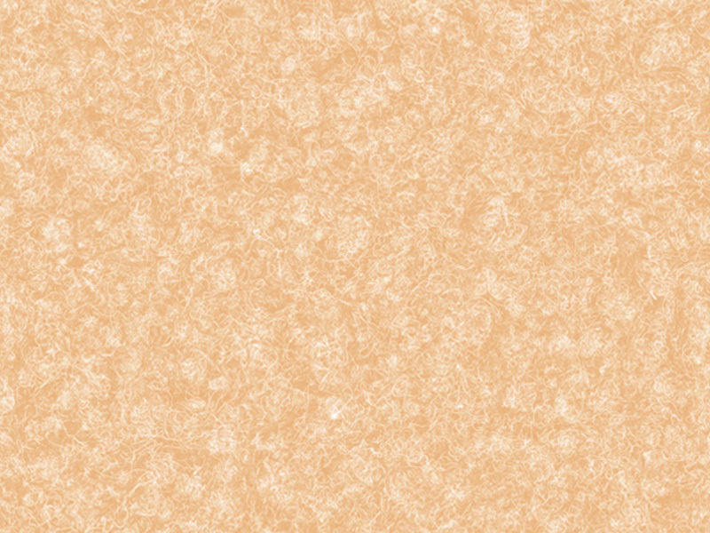 BAS206-790