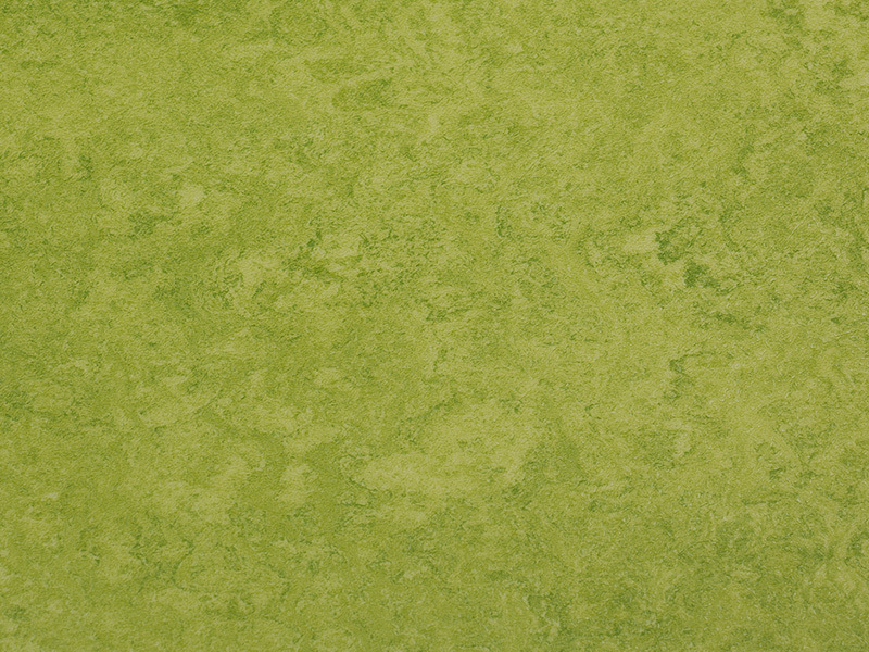 BSP226-1422