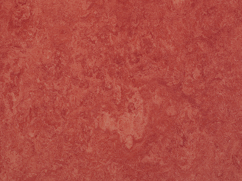 BSP226-1155