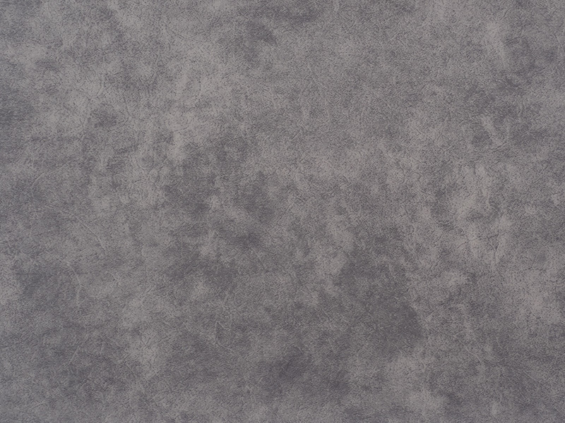 BCS206-9006