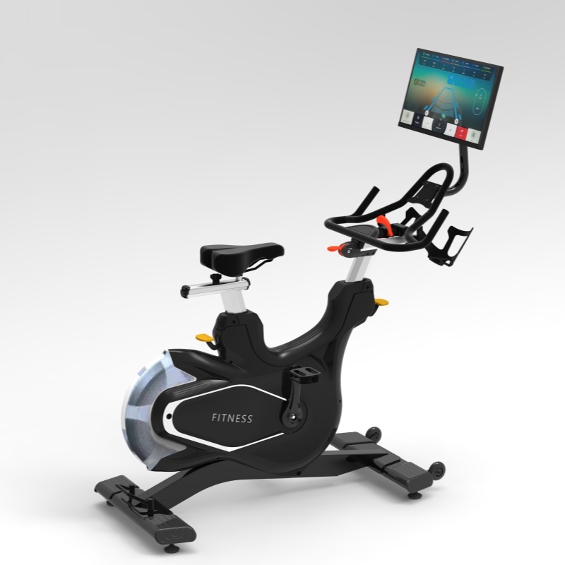 LZX-D06T Magnetic Spinning Bike