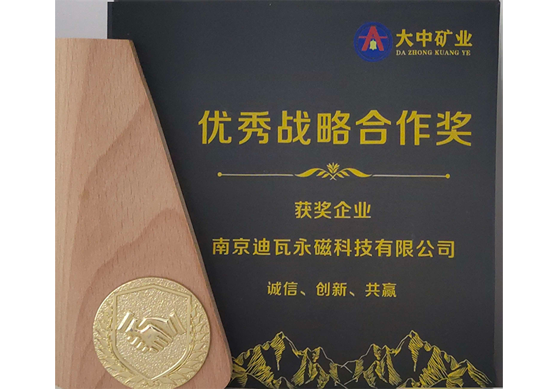大中矿业优秀战略合作奖