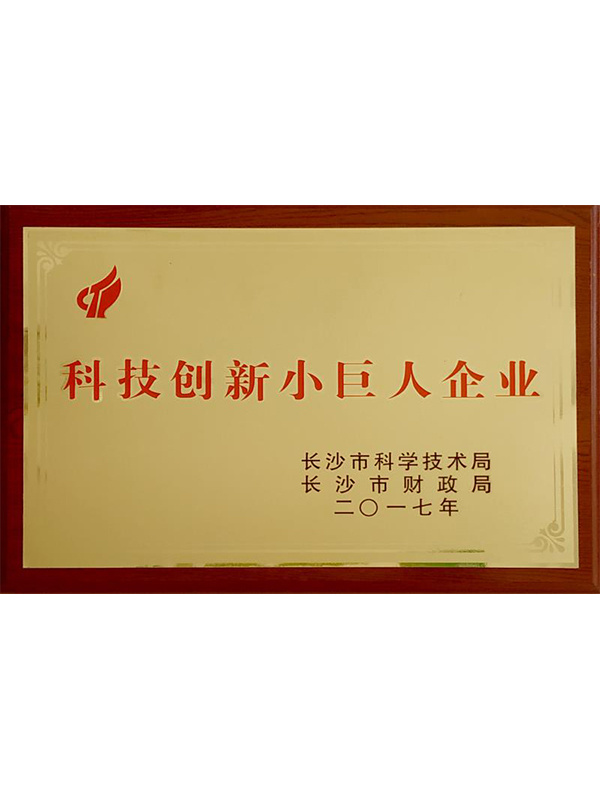 科技創新小巨人企業