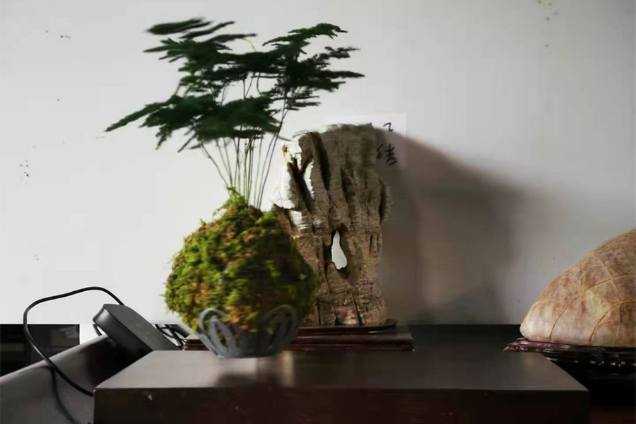 圖片名稱