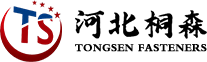 Tongsen Fastener