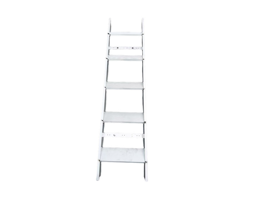 Aluminum ladder