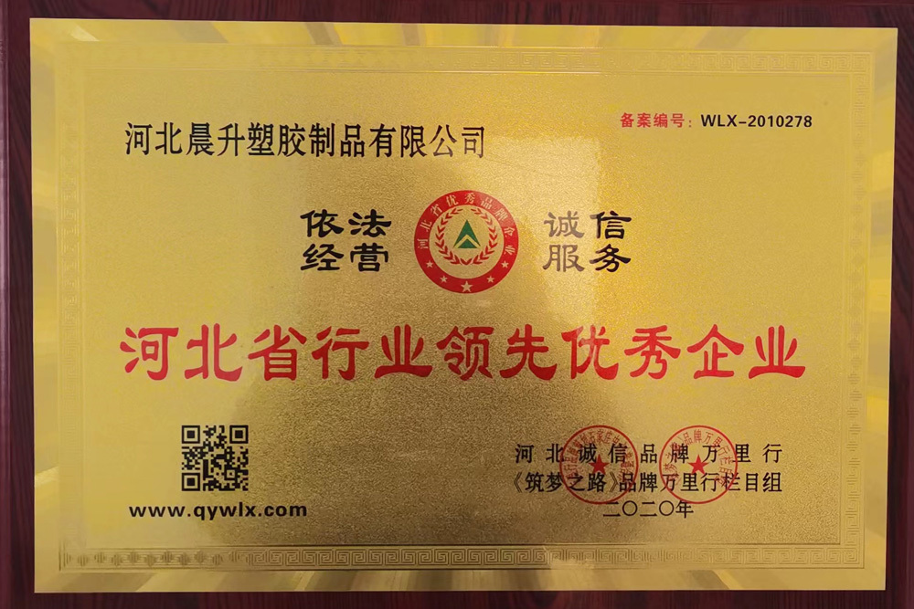 河北省行業(yè)領(lǐng)先優(yōu)秀企業(yè)證書(shū)
