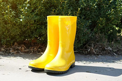 Footwear Basics