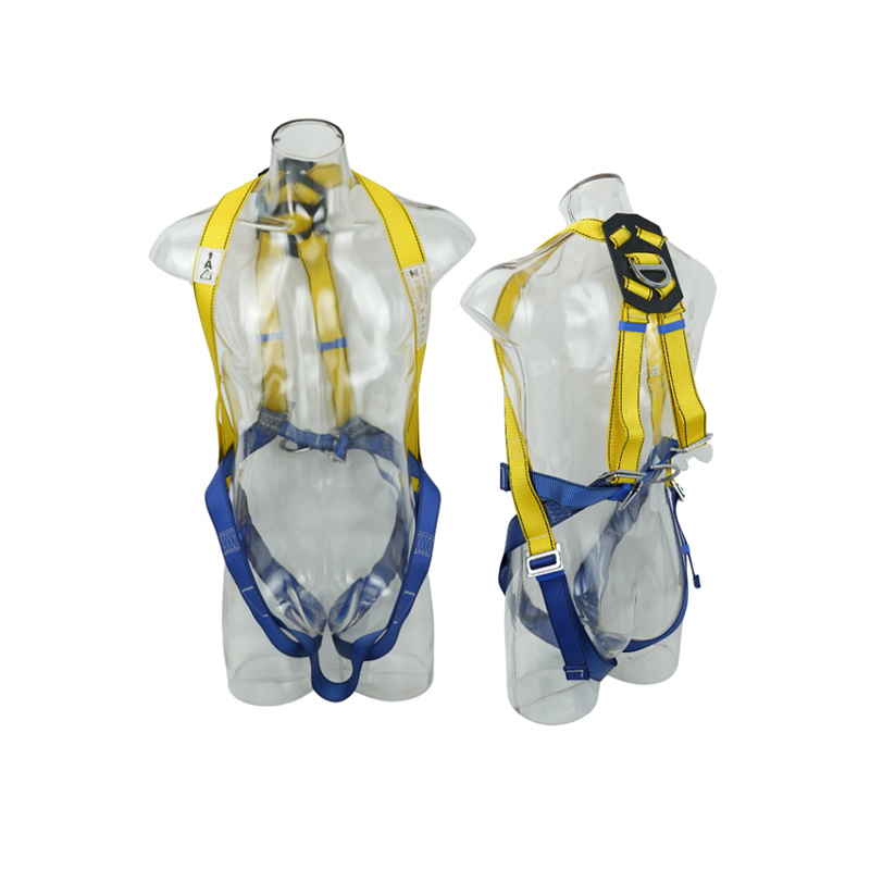 Yellow and blue seat belts