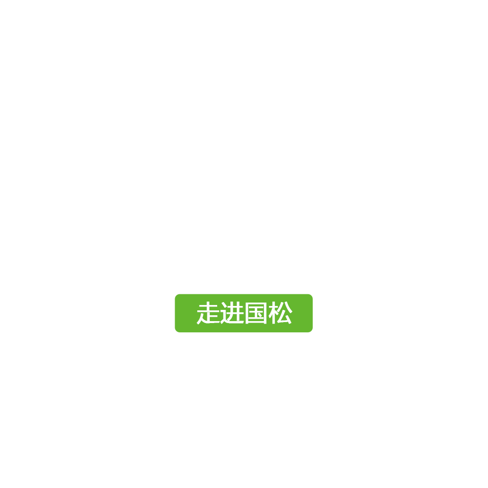 2024年新澳门原料大全