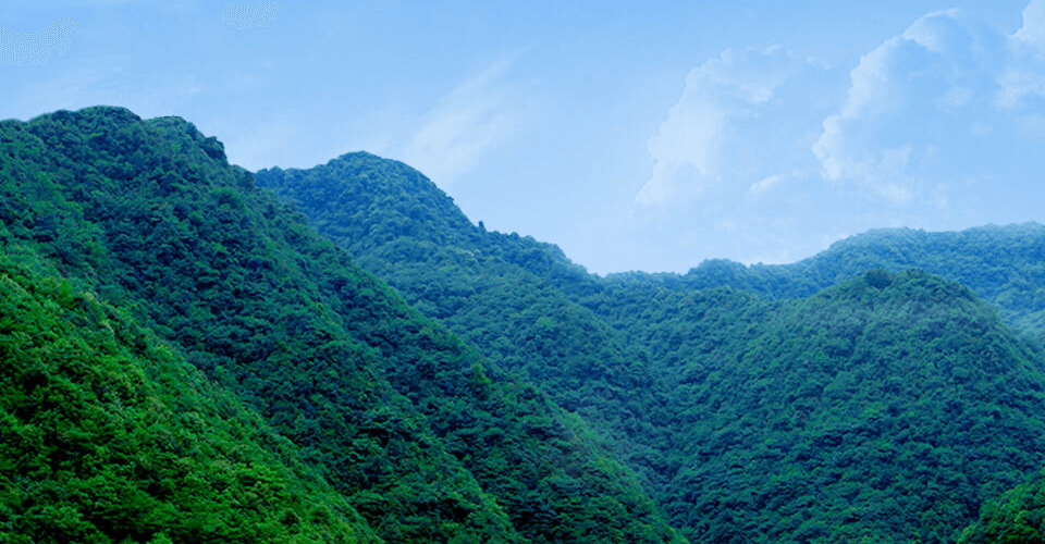 洛陽(yáng)和利時(shí)環(huán)保工程有限公司