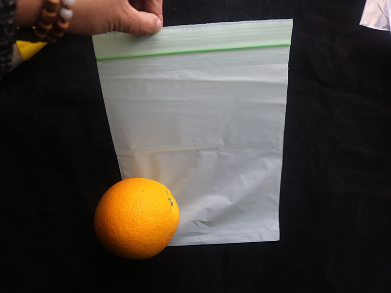 Bolsillo autoaislado totalmente biodegradable: una nueva opción de embalaje ecológico
