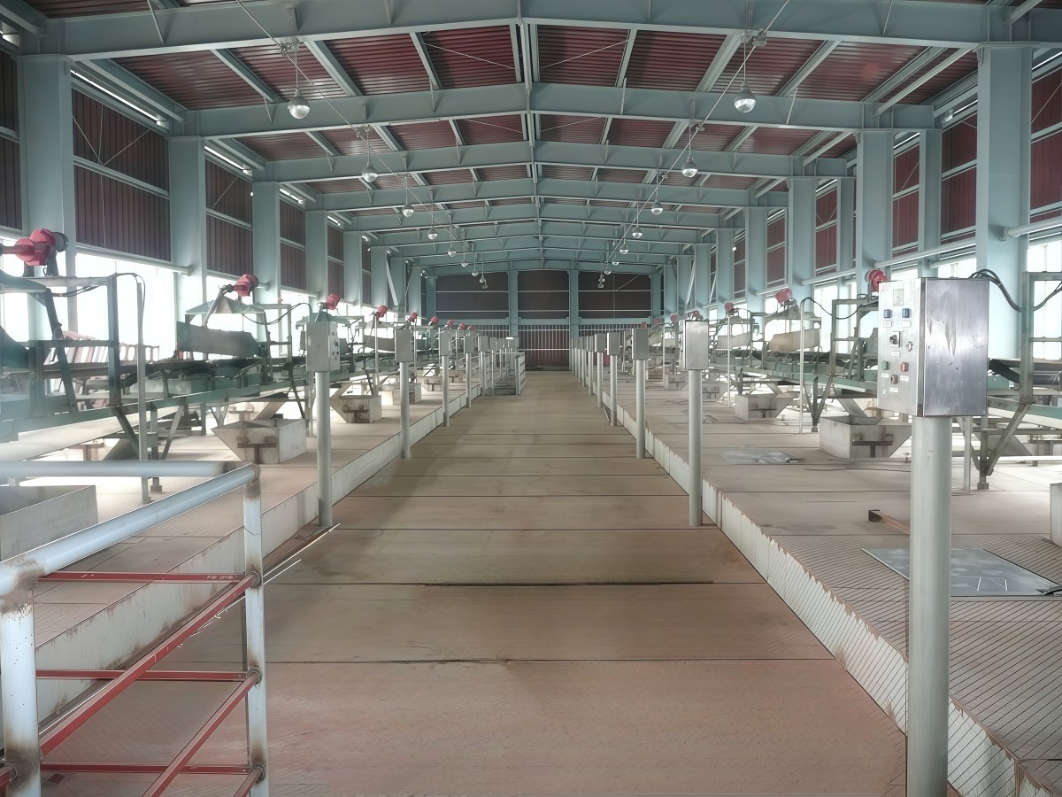 TD75 type fixed belt conveyor