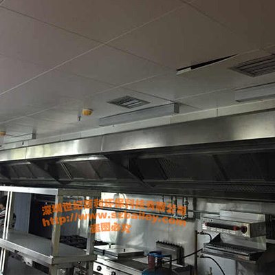河北承德炸鸡排门店安装世纪百利油烟净化器