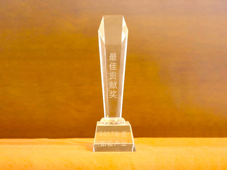 Best Contribution Award
