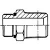 BSPT Thread Fittings