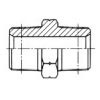 American Taper Pipe Thread NPT Fittings