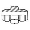 Japanese BSP Thred 60° Cone Fittings