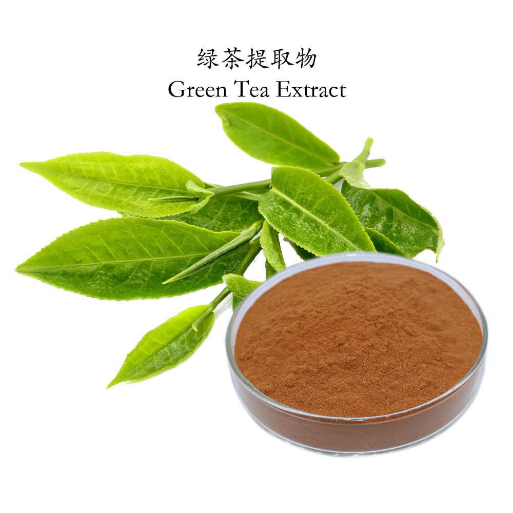 夏季“清濁”養生正當時丨天地源山楂/綠茶/靈芝 優質供應