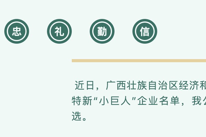 喜讯|我公司成功入选国家第四批专精特新“小巨人”企业