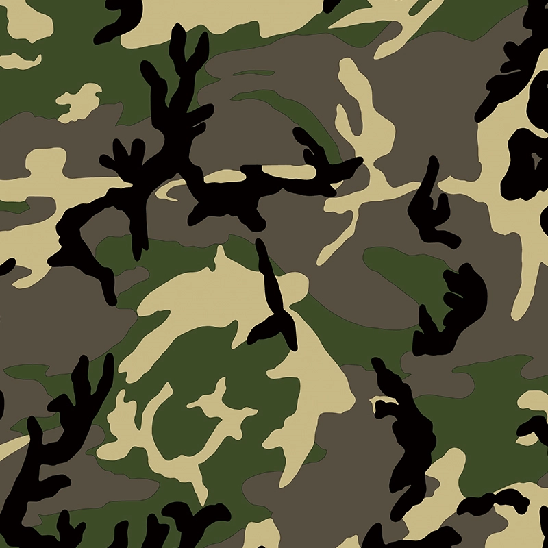 Camouflage