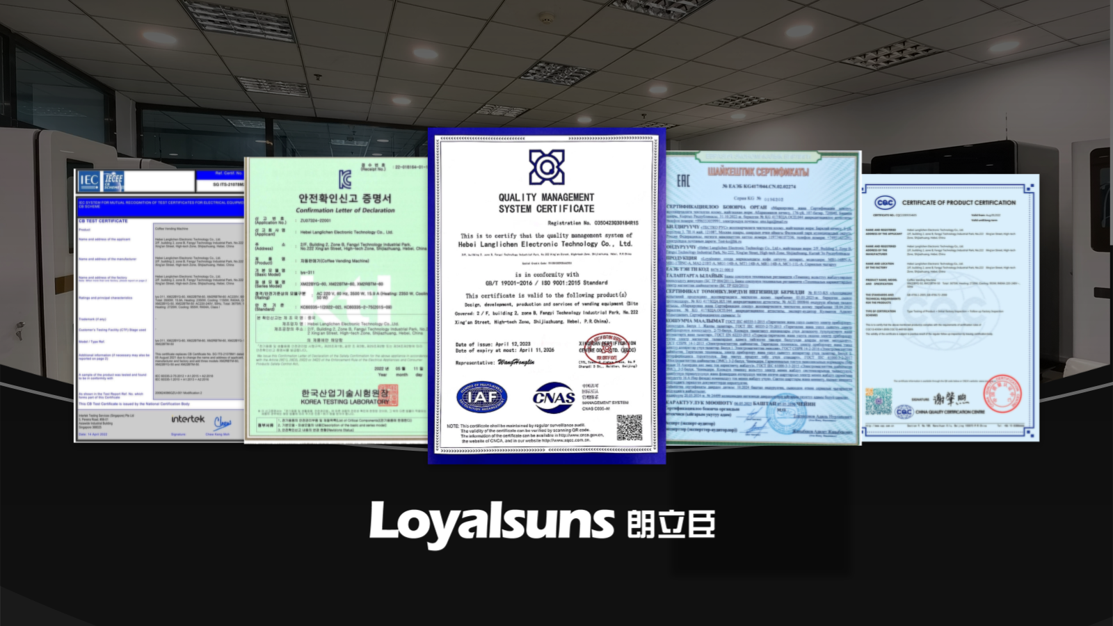 参透高考“底层逻辑”，完美应对冲刺时刻