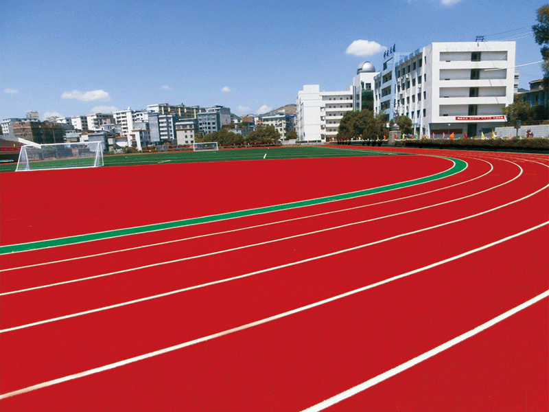 Plastic track