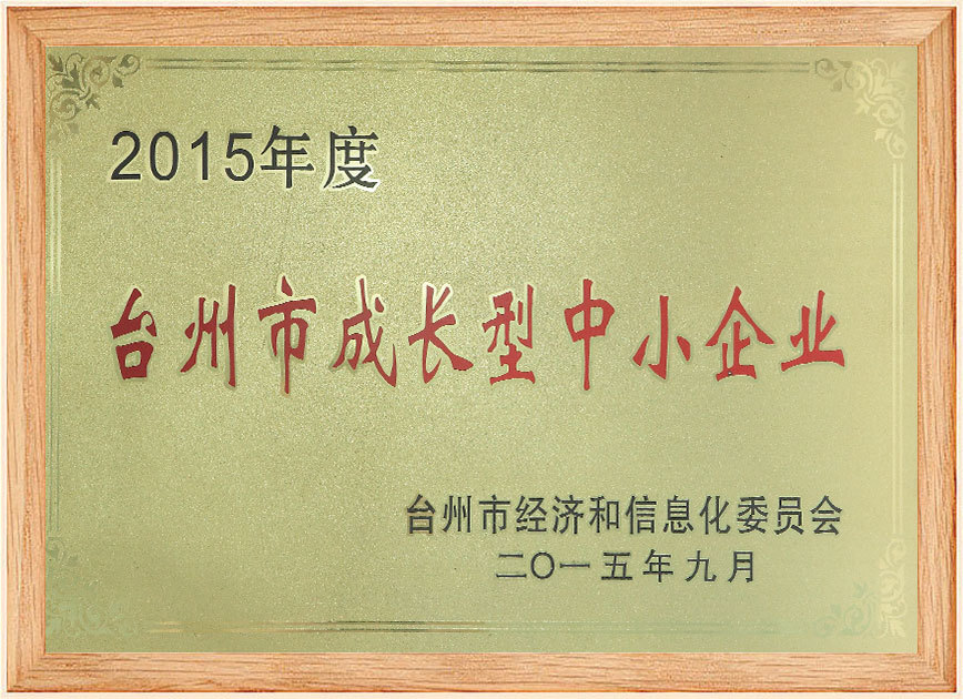 台州市成长型中小企业