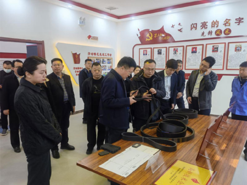 County Party Secretary Wang Hongtao investigated the high-quality development work of Jinjiulong Company