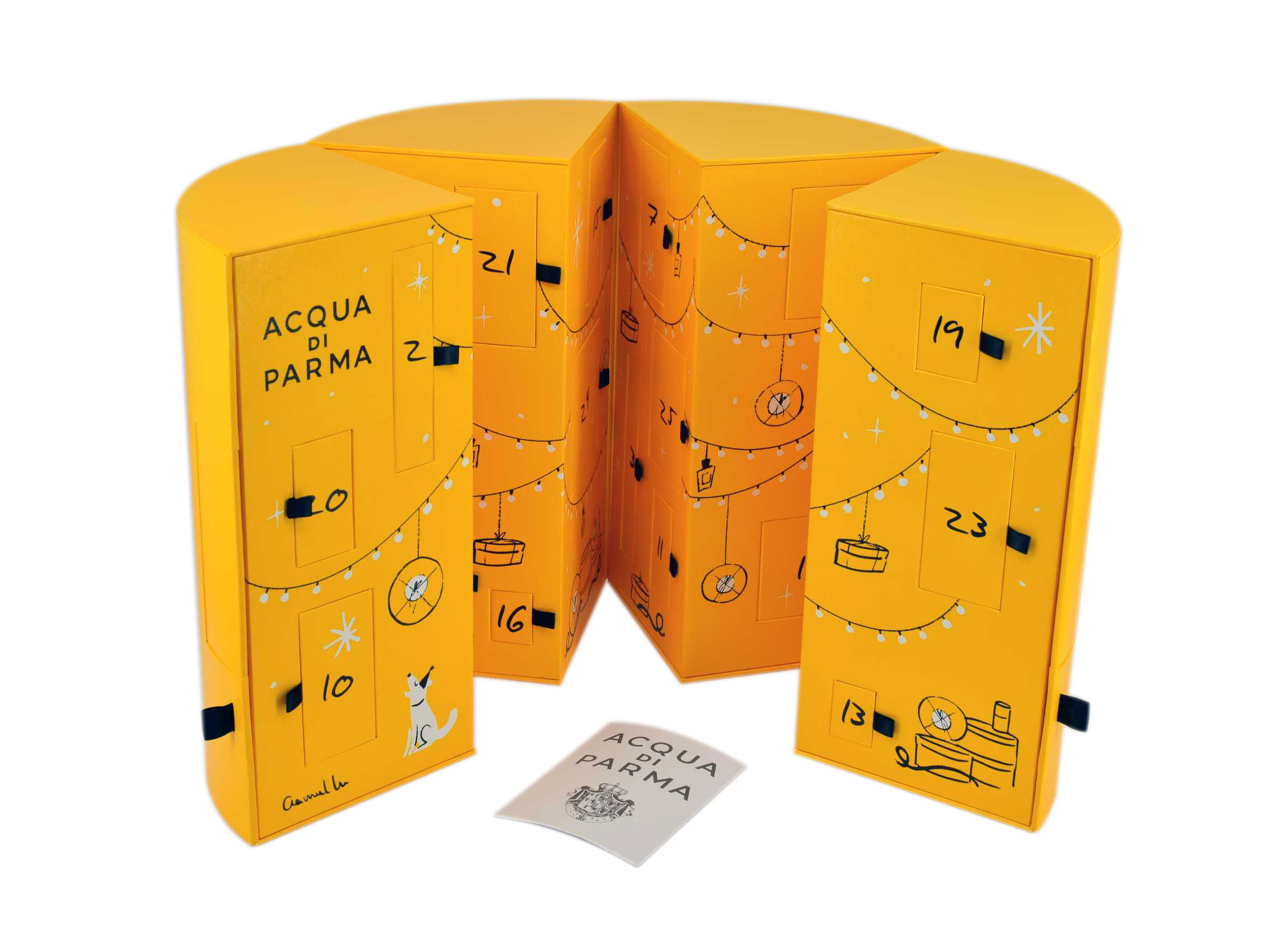 Rigid Boxes