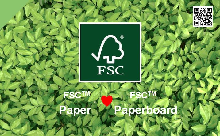 Could Paperboard (or greyboard) be sustainable?
