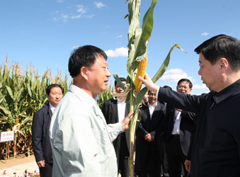 登海種業(yè)參加德州市秋季農(nóng)業(yè)現(xiàn)場會暨秋季糧王大賽啟動、夏季糧王大賽表彰儀式