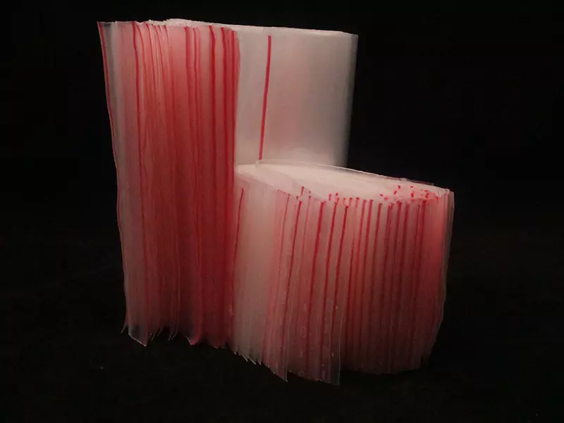 Red line zipper bag