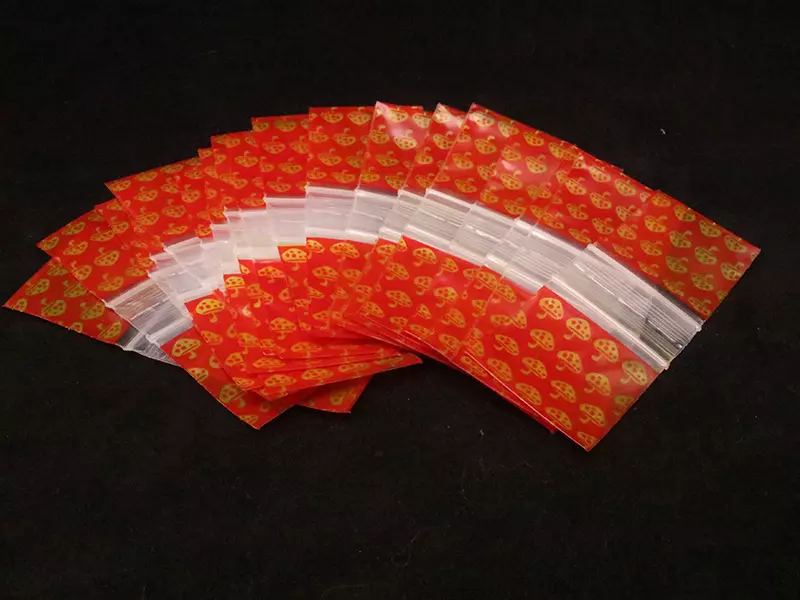 Mini Printed Zipper bag