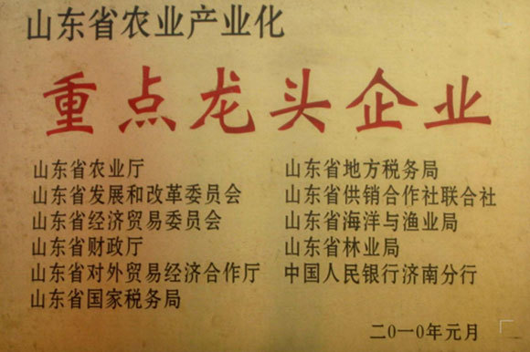 重点龙头企业